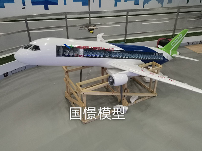 丰县飞机模型